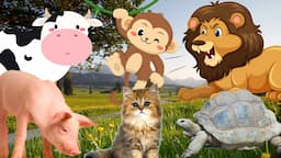 The most mischievous animals: monkeys, cats, lions, cows, dogs,...