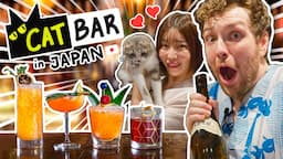 I Tried Working At Japan's Cat Bar Ft. Shibuya Kaho