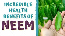 HEALTH BENEFITS OF NEEM