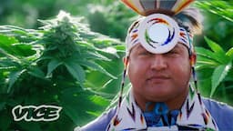 The Paiute Tribe's Marijuana Venture