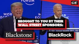 How Wall Street buys US elections: Blackstone funds Trump, BlackRock backs Biden