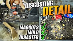 Most Disgusting Maggot Filled Car I've Ever Cleaned | Car Detailing Restoration