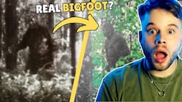 Bigfoot Evidence So Compelling Professionals Are In Disbelief!