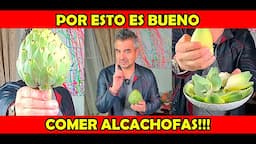 Beneficios y propiedades de la ALCACHOFA!!!