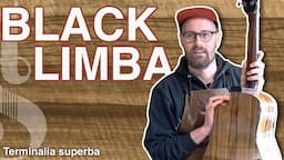 BLACK LIMBA ('KORINA') - Gibson's big secret! -  Terminalia superba - Tommy's Tonewoods