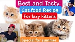 Tasty cat food recipe for lazy kittens /Best food for summer | Urdu | Hindi