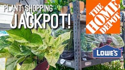 That was unexpected! Insane Plant finds at Lowe’s & Home Depot! Plant Shopping Big Box Store!