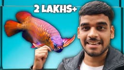 I WENT TO SEE A ₹200000 AROWANA FISH!