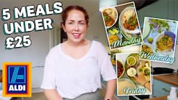 5 Meals For UNDER £25 From Aldi | Easy Budget Weekday Family Meals | 5 For £25 Meals Part 1