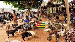 Largest rural  village market day in Vogan Togo west Africa 🌍 Cost of living in an African village🇹🇬