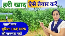 First Step toward Organic Farming | Organic Nitrogen | green manure | green manure crops | hari khad