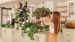 My Peaceful Houseplant Tour (30+ Plants) | Top 11 Container Gardening Tips!