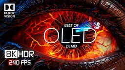 8K HDR 240 FPS Dolby Vision - Special OLED Demo