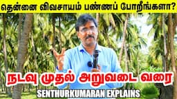 தென்னை விவசாயிகள் தவறவிடக்கூடாத வீடியோ | நடவு முதல் அறுவடை வரை Senthurkumaran Explains