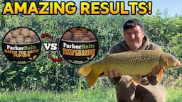 Pop Ups vs Bottom Baits: The Ultimate Carp Fishing Showdown