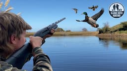 MOST DUCKS WE’VE EVER SEEN! Duck Hunting NZ