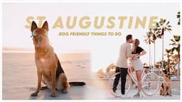 St Augustine Vlog | Dog Friendly Things to Do in St Augustine, FL | Day Trip to St Augustine