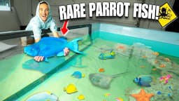 Catching EXOTIC BLUE PARROT FISH For My Giant SALTWATER POND!