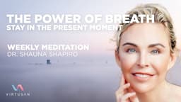 Weekly Meditation Series "The Power of Breath"  by Dr.  Shauna Shapiro