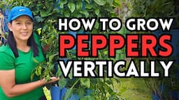 Small Space, Big Harvest: Growing 30 Pepper Plants In A GreenStalk Vertical Garden Tower