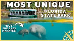 🐢🐟 Baby Manatee "Dot" & Glass Bottom Boats: Exploring Silver Springs State Park!