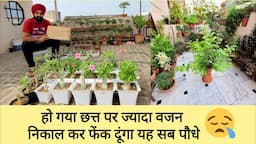 अब हो गया छत्त पर ज्यादा वजन / अब निकाल कर फेंक दूंगा ये सब परमानेंट पौधे / Garden