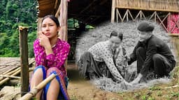 Harvesting the lemon garden to sell, where did the village boys go?