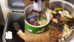 🐾Dog Food Recipes🐾 | Tiktok🦴🍖 | luvie Compilations