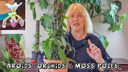 Aroids, Orchids & Moss Poles