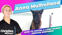 Anna Mulholland: How to Groom a Long-Haired German Shepherd | Step by Step Guide