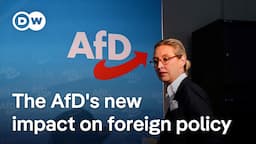 How Germany's AfD party fits into the bigger picture of far-right populism in Europe | DW News