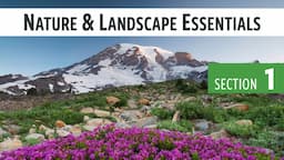 Nature & Landscape Essentials [01-Introduction]