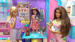 Barbie and Ken at Barbie's Dream House Story w Barbie Sisters and Pets Vet Clinic Emergency