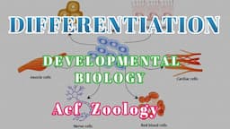 DIFFERENTIATION | Developmental Biolog  | UPSC ZOOLOGY | Bsc Zoology | NEETZOOLOGY | MSc Zoology