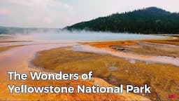 The Wonders of Yellowstone National Park || Wyoming, U.S.A.