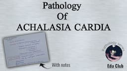 Achalasia Cardia | Pathophysiology | GIT Motility Disorders || GIT Pathology