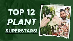 🌿 Top 12 Houseplants Exploding in Growth This Season! 🚀