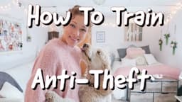 How to train Anti-Theft