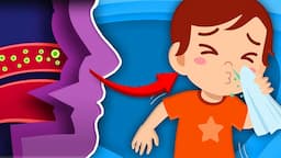 Why Do We Sneeze? | Human Body Songs For Kids | KLT Anatomy