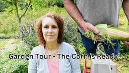 Garden Tour: We Finally Have Rain...AND the Corn is Ready 😊