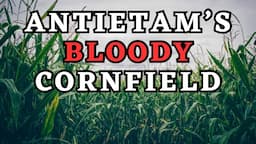 Stories of Heroism: Antietam's Bloody Cornfield