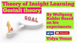 Insightful Learning | Theories of Learning | Gestalt Theory of Learning | Vidya Venue