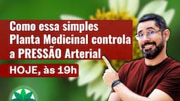 Como essa simples Planta Medicinal controla a PRESSÃO Arterial