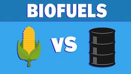 What are Biofuels and Where are They Going?