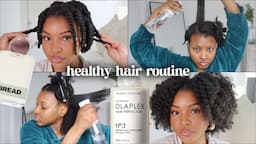 Healthy Hair Routine | Dry/Thick Hair, Olaplex on Type 4 Hair | Natural Hair Wash Day | Kensthetic