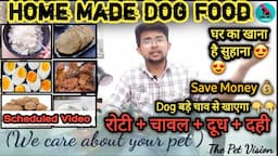 home made dog food || home made dog diet plan || घर का खाना || वही दो जो best हो || dog diet plan