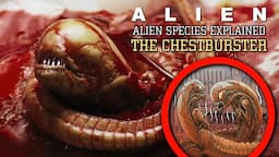 The Chestburster (Plagiarus Praepotens) Stage 3 XX121- Alien Species Explained