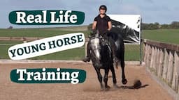 Young Horse Training Demystified