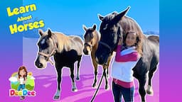 Learn About Horses | Animals for Kids | Educational Videos