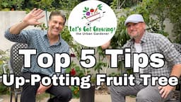 UP-POTTING A Fruit Tree feat. The Urban Gardener